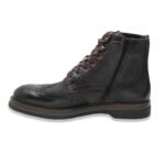 Ambitious Parrot Brown - Image 3